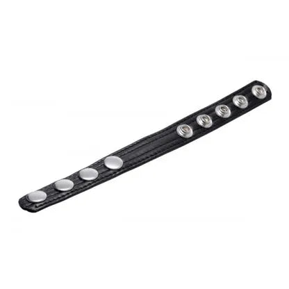 Black studded leather collar on a white background