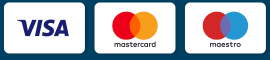 Three logos of well-known payment card companies displayed side by side in the website footer: Visa, MasterCard, and Maestro.